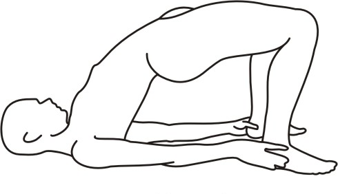 Setu bandha sarvangasana